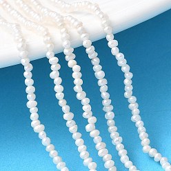 Морская Ракушка Нити из натурального культивированного пресноводного жемчуга, картофель, класс 4а++, цвет морской раковины, 1.8~2.2 мм, отверстие : 0.5 мм, около 201~205 шт / нитка, 14.61~14.88'' (37.1~37.8 см)