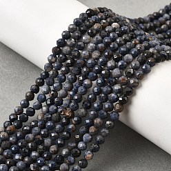 Сапфир Натуральные сапфировые бисерные пряди, граненые, круглые, 4 мм, отверстие : 0.7 мм, около 94 шт / нитка, 15.16'' (38.5 см)
