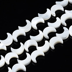 Морская Ракушка Натуральная оболочка из трохидных оболочек, луна, отбеливатель, цвет морской раковины, 8x6x2.5 мм, отверстие : 0.5 мм, около 52~53 шт / нитка, 14.96 дюйм (38 см)