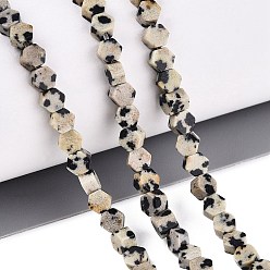 Dalmatian Jasper Natural Dalmatian Jasper Beads Strands, Hexagon, 3.5~4x4~4.5x2~3.5mm, Hole: 0.5~0.6mm, about 95~104pcs/strand, 15.16~15.94 inch(38.5~40.5cm)