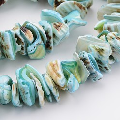 Sky Blue Natural Shell Bead Strands, Dyed, Nuggets, Sky Blue, 10~20x8~12x3~6mm, Hole: 1mm, about 15.7 inch