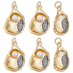 Real 18K Gold Plated 6Pcs Brass & ABS Imitation Pearl Pendants, Shell Shape Charms with Jump Rings, Lead Free & Cadmium Free, Rack Plating, Real 18K Gold Plated, 20x13.5x5mm, Hole: 3.3mm