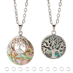Platinum DIY Flat Round with Tree Life Pendant Necklace Making Kit, Including Natural Shell Pendants, Iron Cable Chains Necklace Making, Platinum, Pendants: 31.5~33x27~28x6.5~7mm, 2pcs/box