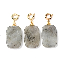 Лабрадорита Подвесные украшения из натурального лабрадорита, с латунными весной кольцевых застежками, золотые, прямоугольные, 30.5~31.5 мм