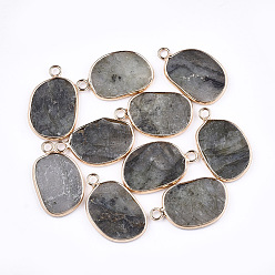 Labradorite Natural Labradorite Pendants, with Brass Findings, Golden, 25x15.5x2mm, Hole: 2mm