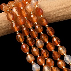 Красный Агат Природного сердолика нитей бисера, граненые, рис, с бисером, окрашенная и подогревом, 8x7 мм, отверстие : 0.8 мм, около 37 шт / нитка, 15.75'' (40 см)