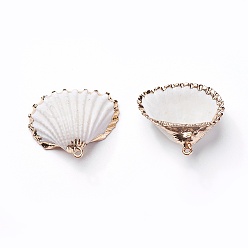 Раковина Подвески из раковины, с железными находками, оболочка, золотой свет, 20~30x21~34x7~11 мм, отверстие : 1.6~1.8 мм