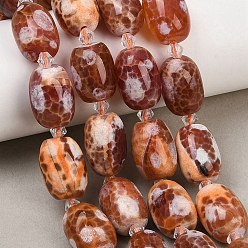 Шоколадный Природные пожары треск агат бисер нитей, окрашенная и подогревом, баррель, с бисером, цвет шоколада, 12~13.5x16.5~19 мм, отверстие : 1.2~1.4 мм, около 18 шт / нитка, 15.75'' (40 см)