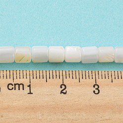 Snow Natural Freshwater Shell Beads Strands, Column, Snow, 4~5.5x5mm, Hole: 0.6mm, about 74~75pcs/strand, 14.76~14.96 inch(37.5~38cm)