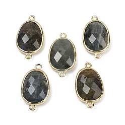 Лабрадорита Подвески с граненым соединителем из натурального лабрадорита, покрытие стойки латунные овальные звенья, золотые, 22.5~23x13.5~14x6 мм, отверстие : 1.4 мм