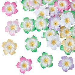 (52) Непрозрачная лаванда 30подвески из непрозрачной смолы, цветок с платиновой железной петлей, разноцветные, 34~35x30~31.5x7.5~8 мм, отверстие : 2 мм