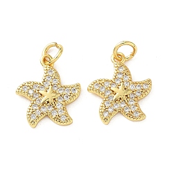 Морская звезда Латунные микро проложить кубического циркония прелести, с целью перехода в кольце, золотые, морская звезда, 14.5x13.5x2.5 мм, отверстие : 3.5 мм