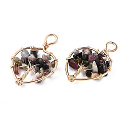 Турмалин Природного турмалина подвески, золотистая латунная проволока, дерево, сердце, 37~38.5x26~27x5.5~7.5 мм, отверстие : 4 мм