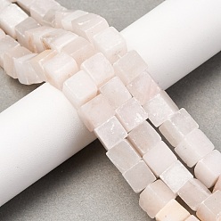 Селенит Нити из натурального селенита, кубические, 8~8.5x8~8.5x8~8.5 мм, отверстие : 1.2 мм, около 46 шт / нитка, 15.35'' (39 см)