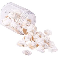 White Shell Beads, Undrilled/No Hole Beads, White, 19~34x14~26.5x2~3.5mm, 45~55pcs/box