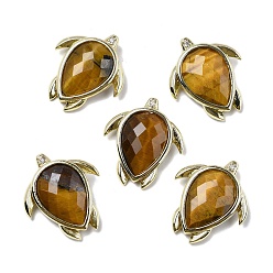Тигровый глаз Природных тигровый глаз подвески, С нахождением латуни и кубическим цирконием, черепаховые чары, граненые, 24.5x21.5x6.5 мм, отверстие : 3.5x2 мм