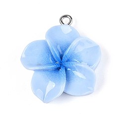 Васильковый Непрозрачные подвески смолы, плюмерия, с платиновым тоном железная петля, васильковый, 27~28x24~25x6.5~8 мм, отверстие : 2 мм