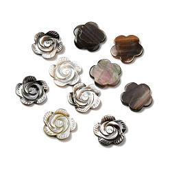Coquillage Noir Rose à lèvres noir cabochons shell, 17x2mm