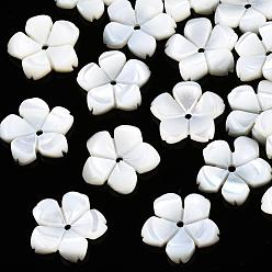 Coquillage De Mer Perles naturelles de coquillages blancs, perles en nacre, fleur, couleur de coquillage, 11~12x11~12x2mm, Trou: 1mm