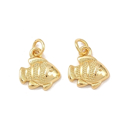 Настоящее золото 18K Латунные подвески, рыбы прелести, долговечный, без свинца и без кадмия, стойки покрытие, с целью перехода в кольце, реальный 18 k позолоченный, 12.5x12x4 мм, отверстие : 3.3 мм