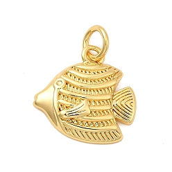 Fish Латунь прелести, с целью перехода в кольце, стойки покрытие, долговечный, без свинца и без кадмия, реальный 18 k позолоченный, рыба, 14x14.5x3 мм, отверстие : 3.5 мм