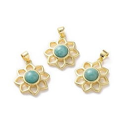 Амазонит Природные подвески амазонит, стойка покрытие золотистый тон латунные подвески, долговечный, без свинца и без кадмия, цветок, 18x16x5~5.5 мм, отверстие : 3.5x3 мм