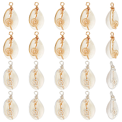 Золотой 20 шт. 2 цвета натуральные раковины каури вихревые медные проволочные подвески, подвески в форме ракушек, долговечный, снег, разноцветные, 25.5~26.5x13.5~14.5x7.5~8.5 мм, отверстие : 1.8~3 мм, 10 шт / цвет