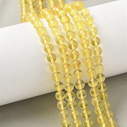 Янтарный Янтарные шарики нити, круглые, 5 мм, отверстие : 0.5 мм, около 71 шт / нитка, 14.17 дюйм (36 см)