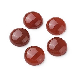 Carnelian Natural Red Agate/Carnelian Cabochons, Dyed, Half Round, 16x5.5~6mm