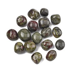 Кровь драконов Натуральный дракон, обваленные камни, нет отверстий / незавершенного, самородки, 20~56x18~30.5x8~28 мм