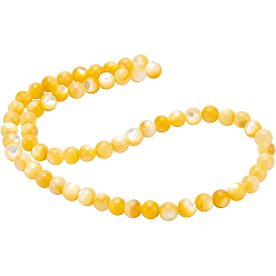 Light Khaki 1 Strand Natural Shell Beads Strands, Round, Light Khaki, 6mm, Hole: 0.8mm, about 69pcs/strand, 15.16 inch(38.5cm)