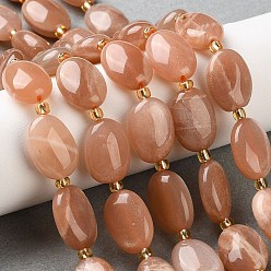 Peach Moonstone Натуральный персиковый лунный камень, Плоско-овальные, с бисером, 14x10x6 мм, отверстие : 1 мм, около 24 шт / нитка, 14.96'' (38 см)