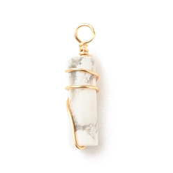 Говлит Природные подвески Говлит, из экологически чистой латунной проволоки с покрытием из настоящего золота 18k, колонка, 19.5~20x5~5.5 мм, отверстие : 2.4~2.8 мм