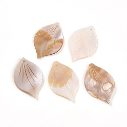 Морская Ракушка Резные подвески из натуральных пресноводных ракушек, лист прелести, цвет морской раковины, 33~34.5x21.5~22.5x1.5~3 мм, отверстие : 1.4~1.8 мм