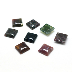 Indian Agate Natural Indian Agate Gemstone Cabochons, Square, 16x16x6mm