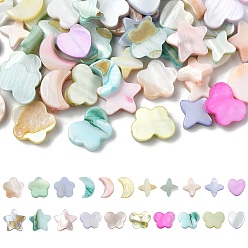 Mixed Shapes 60 шт. 6 стили макаронс цвета натуральной ракушки окрашенные бусины, разноцветные, разнообразные, 8~11x6.5~11x2~3 мм, отверстие : 0.5~0.8 мм, 10 шт / стиль