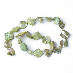 Green Natural Sea Shell Beads, Irregular, Green, 14~23x18~20mm, Hole: 1mm, 22pcs/strand, 16 inch/strand