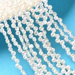 Dentelle Vieille Brins de perles de culture d'eau douce naturelles, top foré, deux faces polies, note 4a++, vieille dentelle, 3~4mm, Trou: 0.5mm, Environ 100~121 pcs/chapelet, 14.57'' (37 cm)