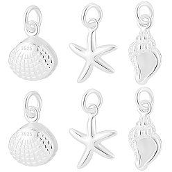 Mixed Shapes 6 шт. 3 стили океан 925 подвески из стерлингового серебра, с прыжковых колец, серебряный цвет гальваническим, с 1 тканью для полировки листового серебра, разнообразные, 12~16x8~11x2~6 мм, отверстие : 3.5 мм, 2 шт / стиль