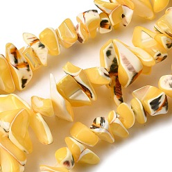 Желтый Натуральная оболочка из трохидных оболочек, окрашенные, самородки, желтые, 5~22x7~15x3~8 мм, отверстие : 1.2 мм, около 65~70 шт / нитка, 14.69~15.35'' (37.3~39 см)