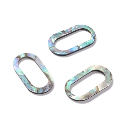 Colorful Sea Shell Linking Rings, Oval, Colorful, 19x10.5x1mm, Inner Diameter: 15x7mm