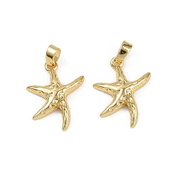 Настоящее золото 18K Латунные подвески, без кадмия и без свинца, морская звезда, реальный 18 k позолоченный, 18x14.5x3 мм, отверстие : 4x2.3 мм