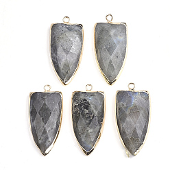 Labradorite Natural Labradorite Pendants, with Brass Findings, Faceted, Shield, Golden, 32~33x15x6mm, Hole: 1.5mm