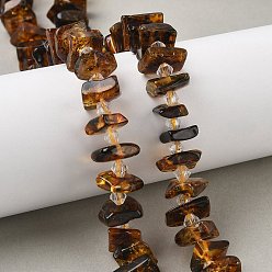 Янтарный Янтарные шарики нити, самородки, упавший камень, с бисером, 9~13.5x10.5~12x3.5~7 мм, отверстие : 0.9~1 мм, около 44~45 шт / нитка, 14.17~14.37'' (36~36.5 см)