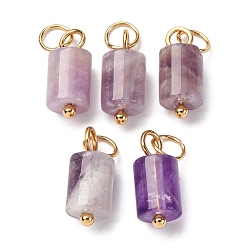 Аметист Подвески-колонны из натурального аметиста с 304 соединительными кольцами из нержавеющей стали, золотые, 14x6 мм, отверстие : 4 мм