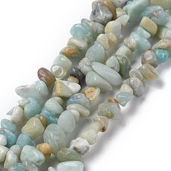 Flower Amazonite Бусы из амазонитовой крошки из натуральных цветов, 5~8x5~8 мм, отверстие : 1 мм, о 31.5 дюйме