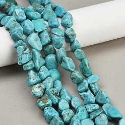 Светло-голубой Природные Говлит бисер нитей, окрашенные, самородки, светло-голубой, 10~17x11~15.5x6~11 мм, отверстие : 1 мм, около 30~34 шт / нитка, 14.76~15.35'' (37.5~39 см)