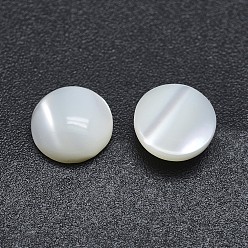 Shell Shell Cabochons, Flat Round, 6x2~2.5mm