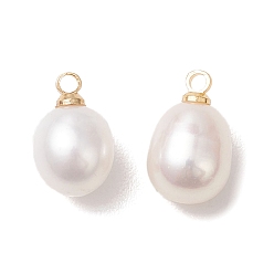 Кремово-белый Натуральные пресноводные жемчужные рисовые амулеты, с латунной фурнитурой , золотые, кремово-белые, 12~13x7.5~8.5 мм, отверстие : 1.6 мм