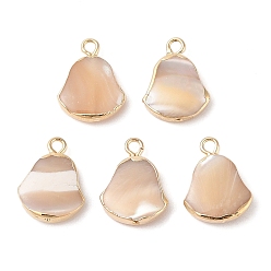 Golden Natural Trochous Shell Pendants, Bell Charms with Brass Edge, Golden, 16x12x4mm, Hole: 1.8mm